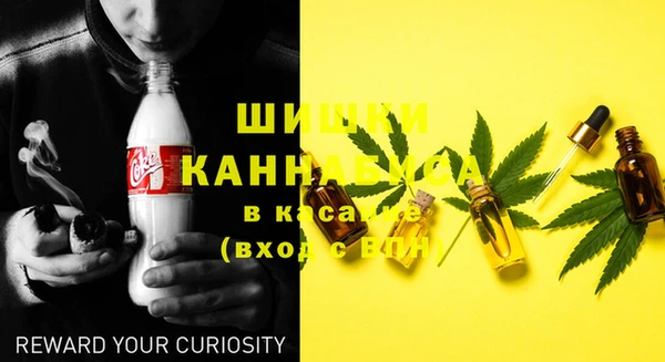 шишки Абдулино