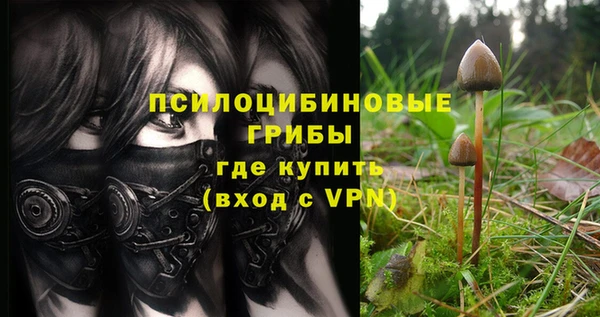 шишки Абдулино