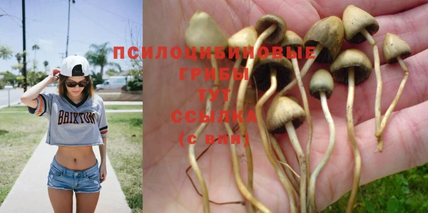 шишки Абдулино